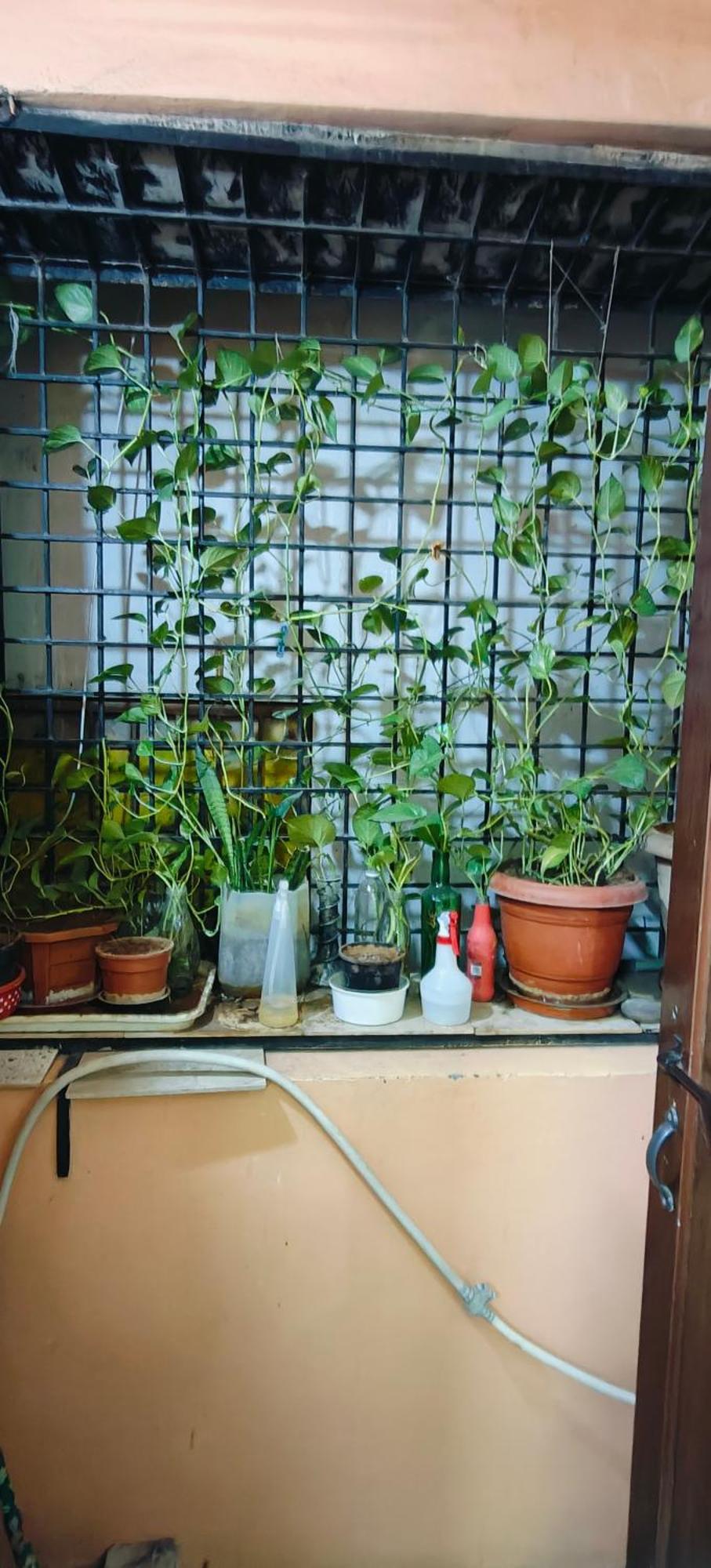 Rani'S Nest Apartment ไฮเดอราบัด ภายนอก รูปภาพ